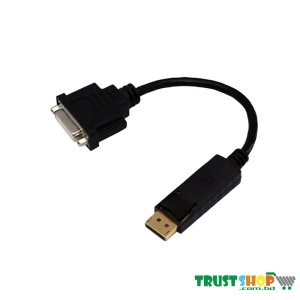 Dtech DT 6504 Display Port To DVI Adapter Cable
